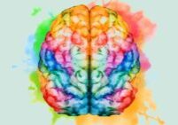 multicolor brain image
